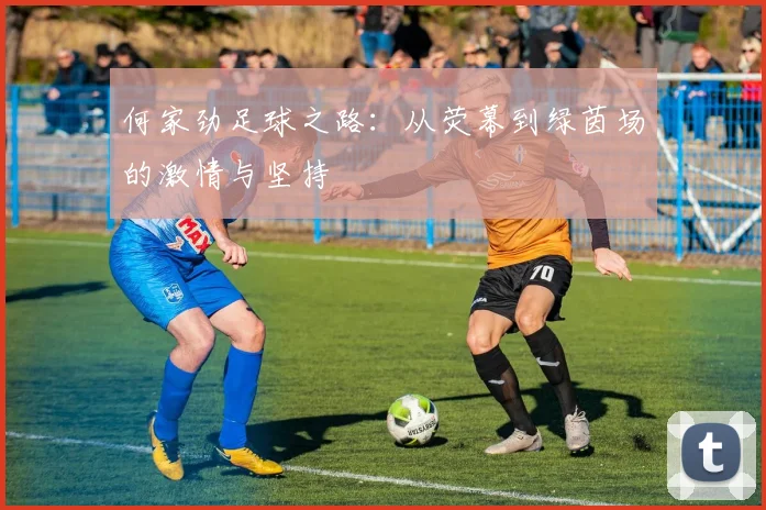 何家劲足球之路：从荧幕到绿茵场的激情与坚持