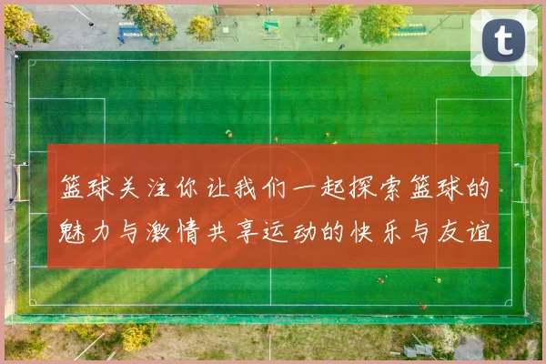 篮球关注你让我们一起探索篮球的魅力与激情共享运动的快乐与友谊