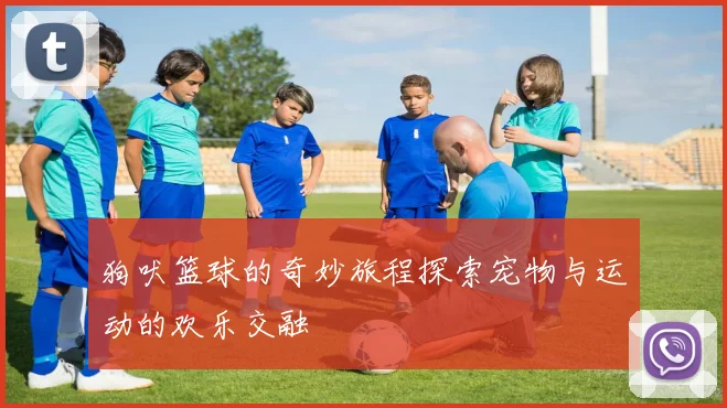 狗吠篮球的奇妙旅程探索宠物与运动的欢乐交融